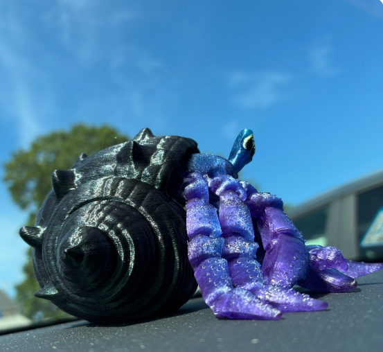 Hermit Crab
